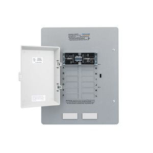 Reliance Controls TRK0606D 60-Amp DP Single Load Transfer Switch