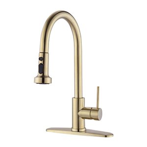 Dornberg Brushed Gold Stainless Steel Single-Handle Pull-Down Sprayer Kitchen Faucet