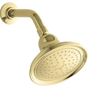 KOHLER Devonshire Polished Brass Round Single-function Showerhead - 2.5 gpm