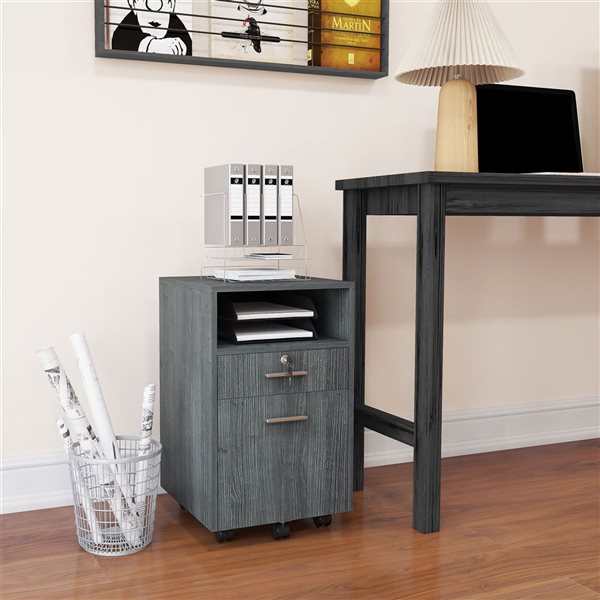 Vinsetto 2-Drawer Grey Lockable Filing Cabinet