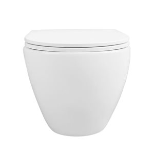 DeerValley Liberty 1-Piece 1.1/1.6 GPF White Dual Flush Elongated Wall Hung Toilets