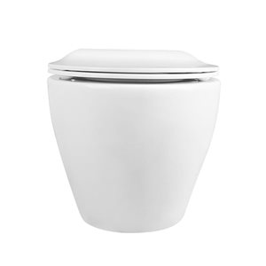 DeerValley Liberty 1-Piece 1.1/1.6 GPF White Dual Flush Wall-Mounted Elongated Toilet