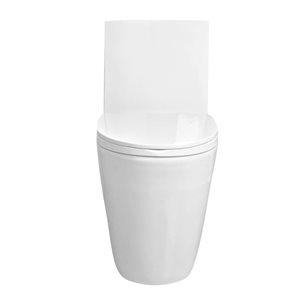 DeerValley Ace 1-Piece 1.1/1.6 GPF Dual Flush Glossy White Elongated Toilet