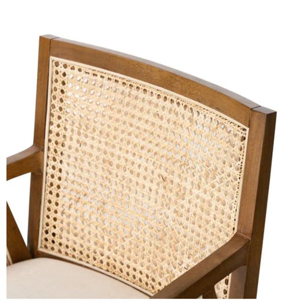 Plata Import Antonia Modern Brown Walnut and Cream Cane Dining Armchair