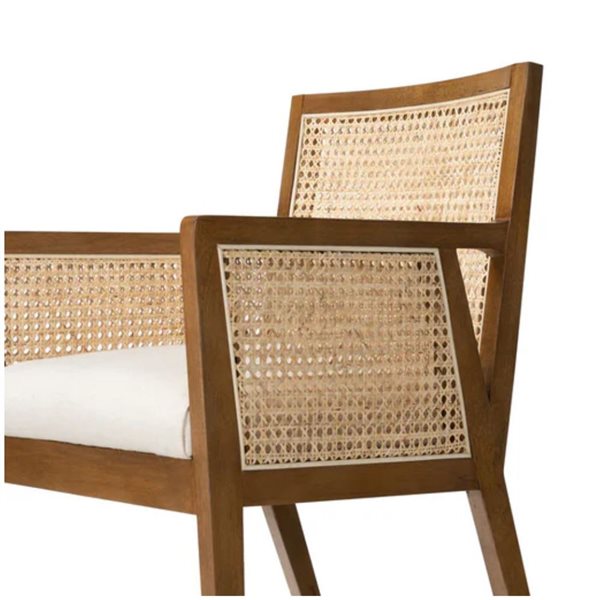 Plata Import Antonia Modern Brown Walnut and Cream Cane Dining Armchair