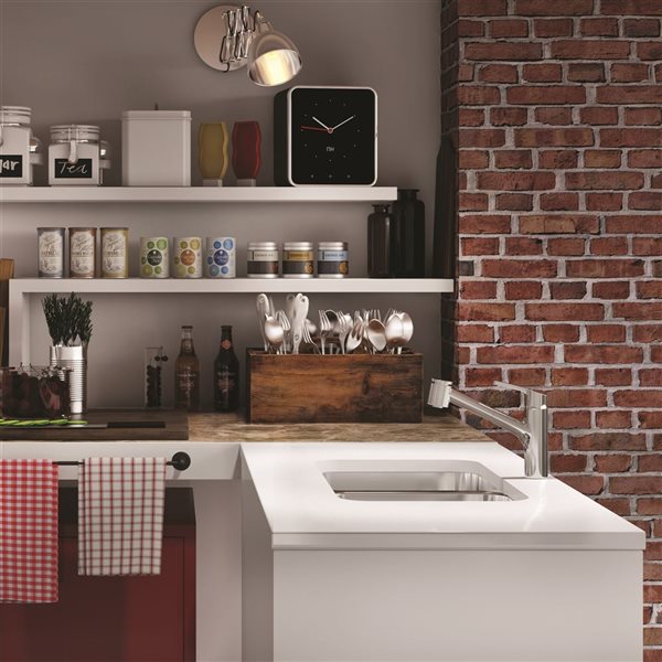 Kindred Reginox 26.88 L x 17.75-in W Undermount Double Bowl Stainless Steel Kitchen Sink