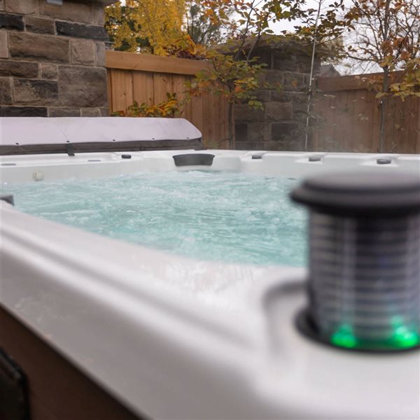 Canadian Spa Company Grand Bend 9-Person 94-Jet Brown/White Rectangle Hot Tub - 10 lights