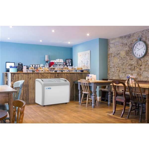 Koolmore 40-in Display Ice Cream Freezer 9-ft³