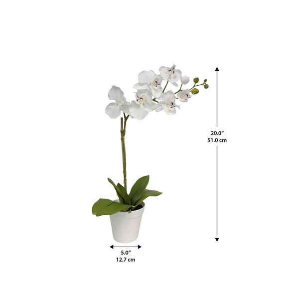 Algreen Artificial White Orchid 20-in w/ Plastic Planter