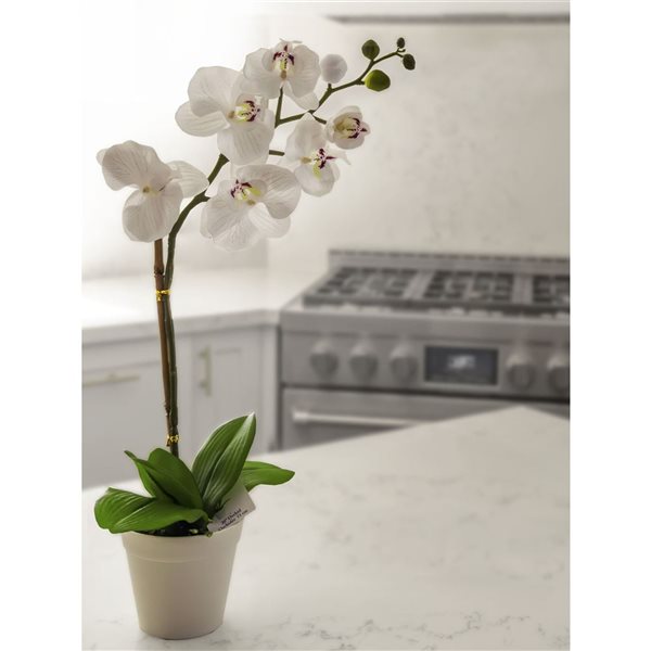 Algreen Artificial White Orchid 20-in w/ Plastic Planter