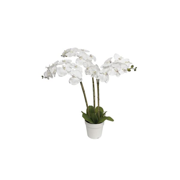 Algreen Artificial Triple Stem White Orchid 29-in w/ Plastic Planter