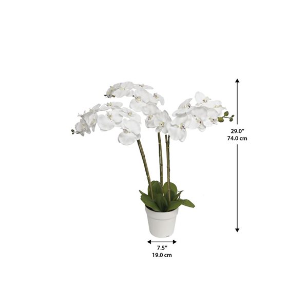 Algreen Artificial Triple Stem White Orchid 29-in w/ Plastic Planter