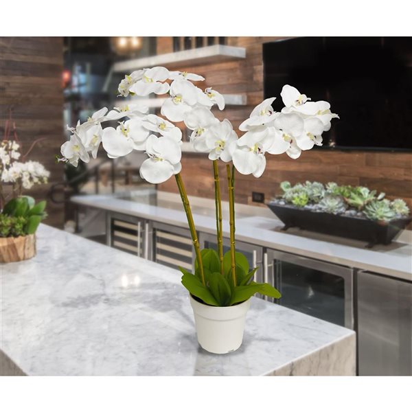 Algreen Artificial Triple Stem White Orchid 29-in w/ Plastic Planter