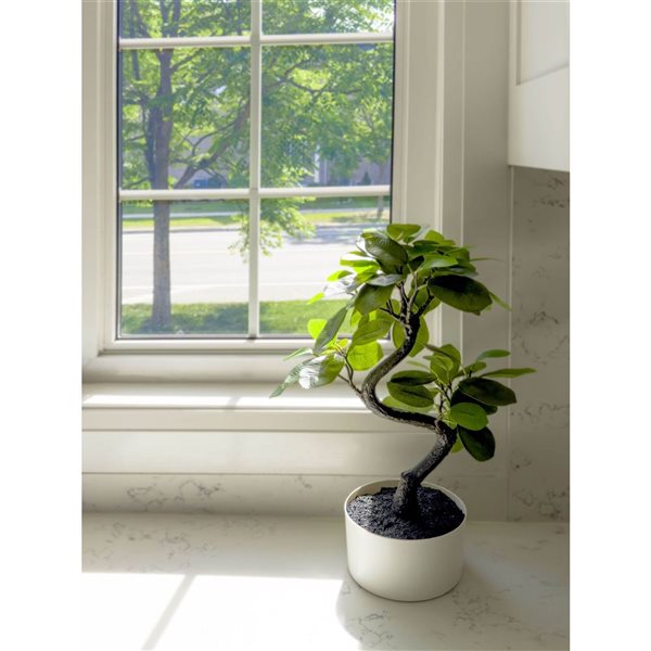 Algreen Artificial Snake Shape Ficus 18-in w/ Plastic Planter