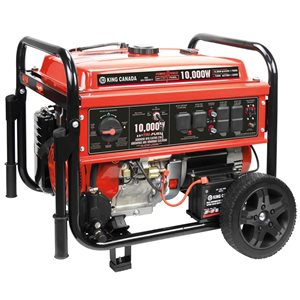 Performance Plus 10,000 W Tri-Fuel Generator with Electric Start