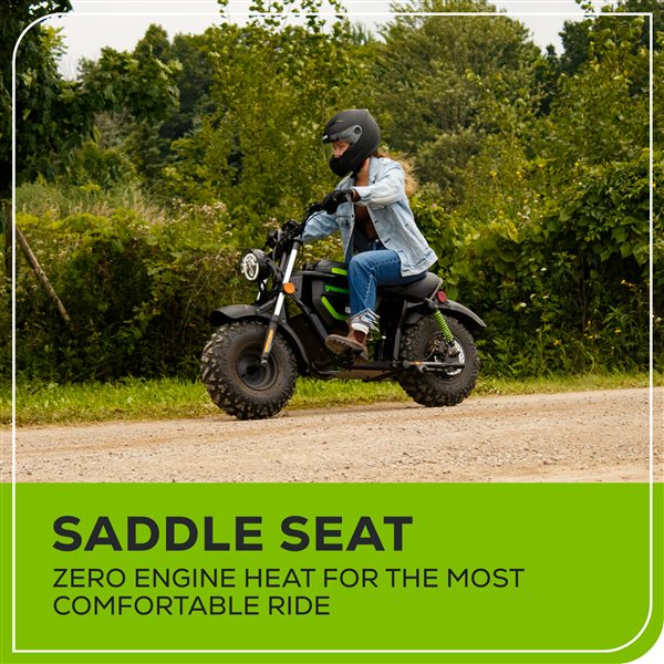 Greenworks STEALTH 19-in Wheels 80V Electric Mini-Bike