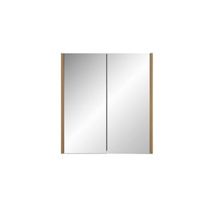 GEF Selena 24 W x 26-in H Surface Mount Rough Oak Medicine Cabinet