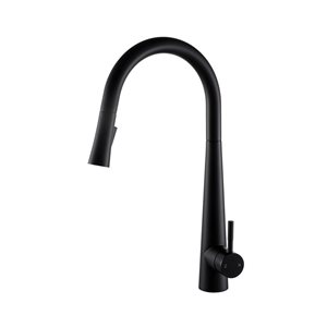 Robinet de cuisine rétractable Floresta de Bristol Sinks en noir mat à 1 poignée et installation sur comptoir