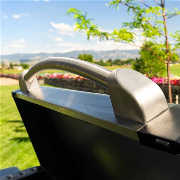 Blackstone Patio Pro XL 28-in Cart