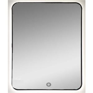 Miroir mural de salle de bains à éclairage à DEL Omer de Decor Wonderland 27,5 x 35,5 po avec cadre en métal noir