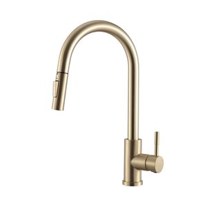 Bristol Sinks Rivera Modern/Contemporary 1-Handle Pull Down Kitchen Faucet - Gold