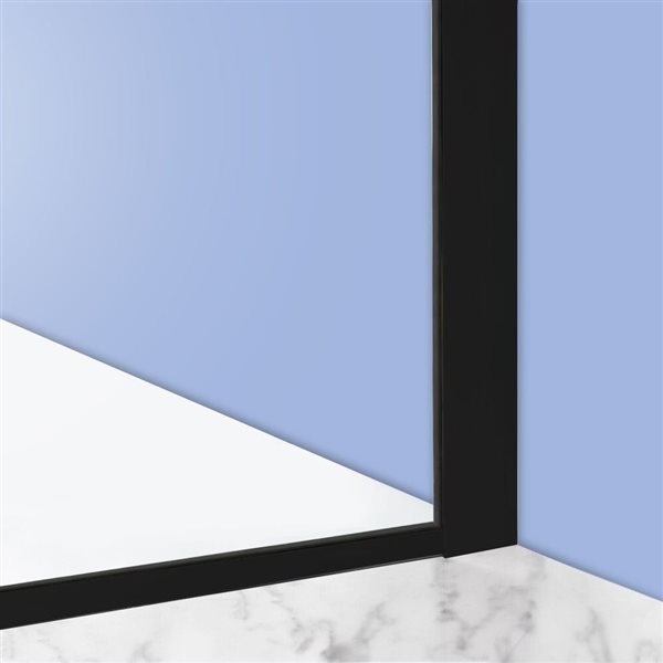 Turin Rosita 42 W x 80-in H Clear Frameless Fixed Shower Glass Panel w/ Black Edge