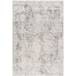 Rug Branch Mirage 2 x 4-ft Grey and Beige Rectangular Boho Indoor/Outdoor Area Rug