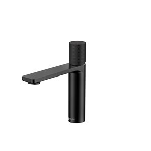 Stylish Riela Single Handle 7 1/2-in Matte Black Bathroom Faucet