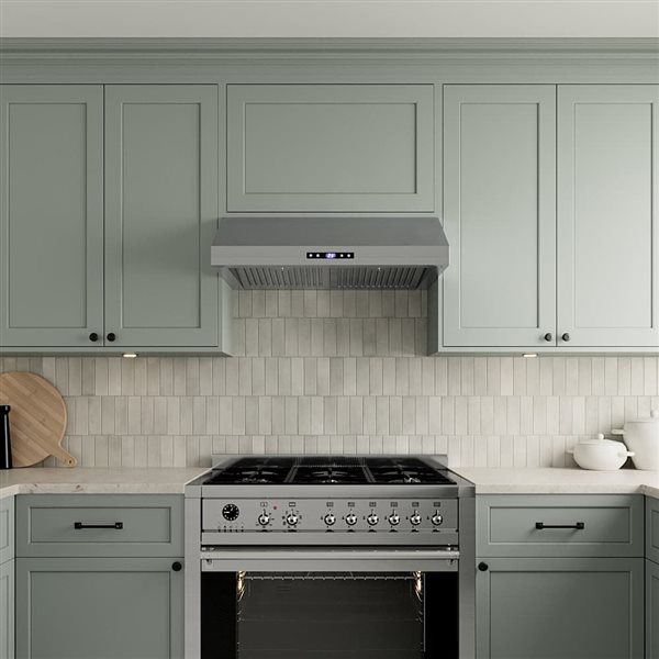 Streamline Andrano 30-in Stainless Steel Ducted Undermount 406CFM Range Hood