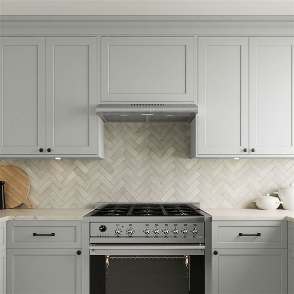 Streamline Trieste 30-in Stainless Steel Ducted Undermount 80CFM Range Hood