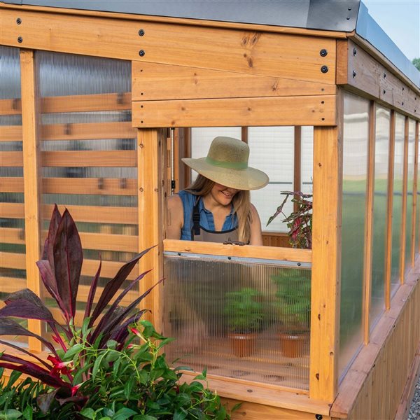 Serre Zalie Backyard Discovery 8 h. x 12 L. x 7 pi l. en cèdre brun et panneaux de polycarbonate