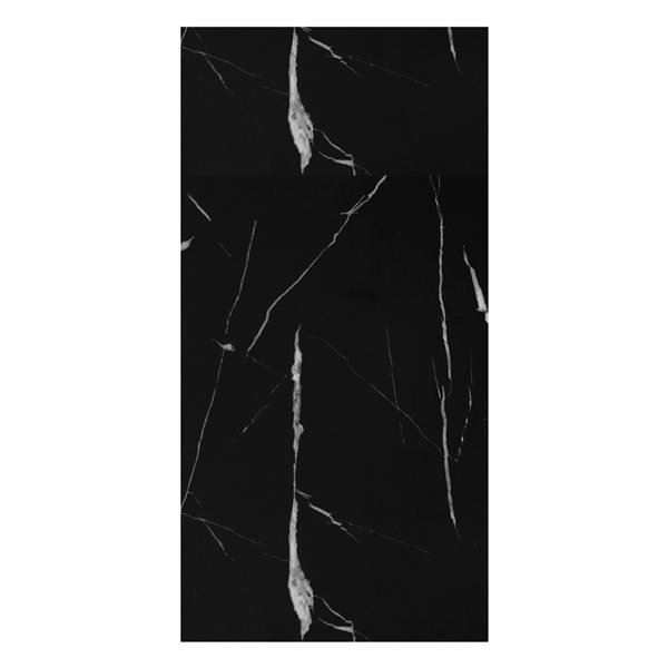 Dundee Deco 2 x 4-ft Black/White PVC UV Marble-Look Wall Panels - 2 Panels