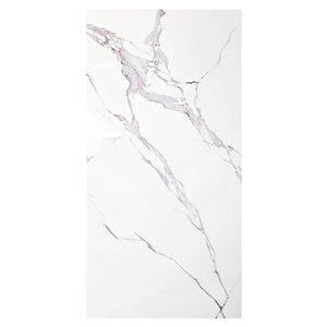 Panneaux muraux aspect marbre Dundee Deco 2 x 4 pi po PVC gris et blanc, 2 panneaux