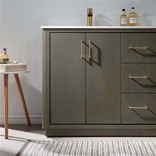 RAINLEX 60-in Freestanding Double White Rectangle Sink Bathroom Vanity with Quartz Top -Grey