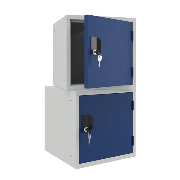 Ceha Canada 1-Compartment 15-in W Grey Cube Locker w/ Blue Door