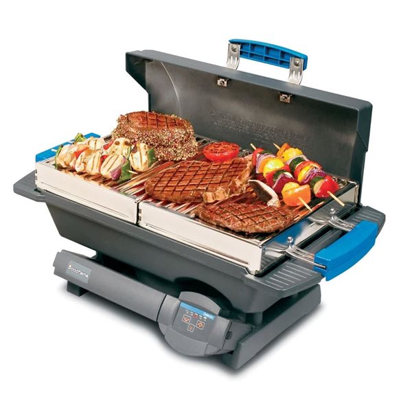 Barbecue portatif au bois Delecto Woodflame de 62 500 BTU et zone de ...