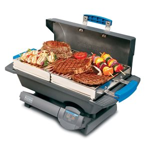 Woodflame Delecto Black 62,500-BTU 1335-cm² Cooking Area Portable Wood Grill