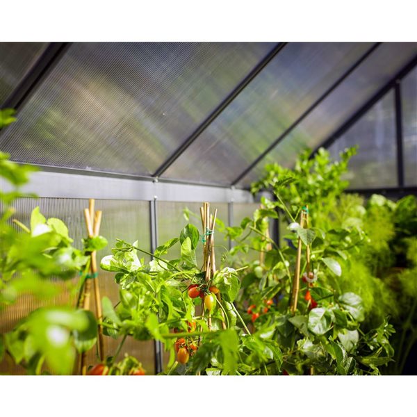 Canopia by Palram Mythos 6 x 10-ft Greenhouse Kit - Grey