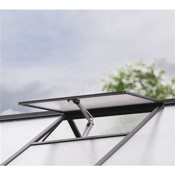 Canopia by Palram Triomphe Garden Chalet Solarium / Greenhouse - Black