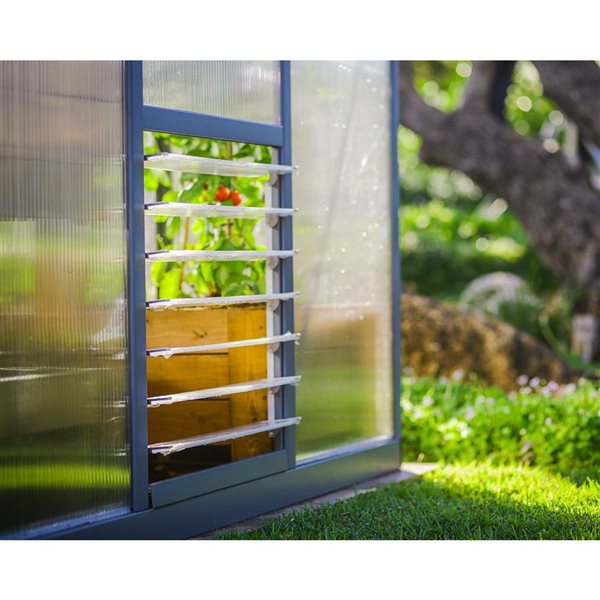 Canopia by Palram Glory 8 x 16-ft Heavy Duty Greenhouse Kit