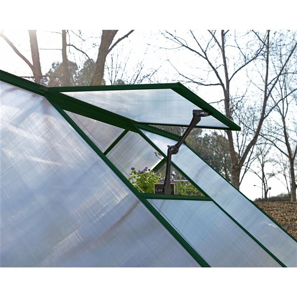 Canopia by Palram Hybrid 6 x 4-ft Greenhouse Kit - Green