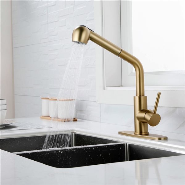 Mondawe Modern Pull-Out Swivel 1-Handle Kitchen Faucet - Brushed Gold