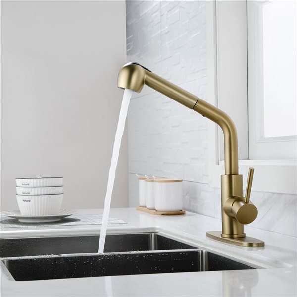 Mondawe Modern Pull-Out Swivel 1-Handle Kitchen Faucet - Brushed Gold