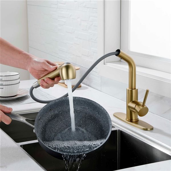 Mondawe Modern Pull-Out Swivel 1-Handle Kitchen Faucet - Brushed Gold