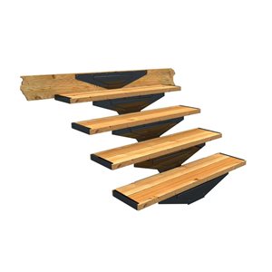 Ensemble limon centra Pylex 4 marches - Bois non inclus