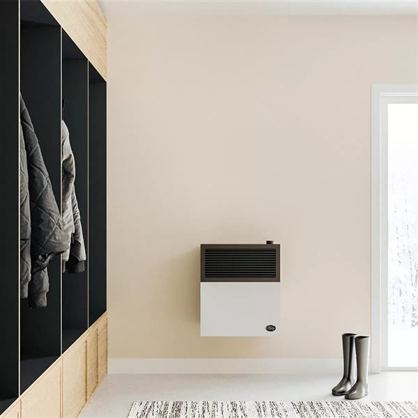 Ashley 11,000 BTU Direct Vent Propane Indoor Radiant Wall Heater