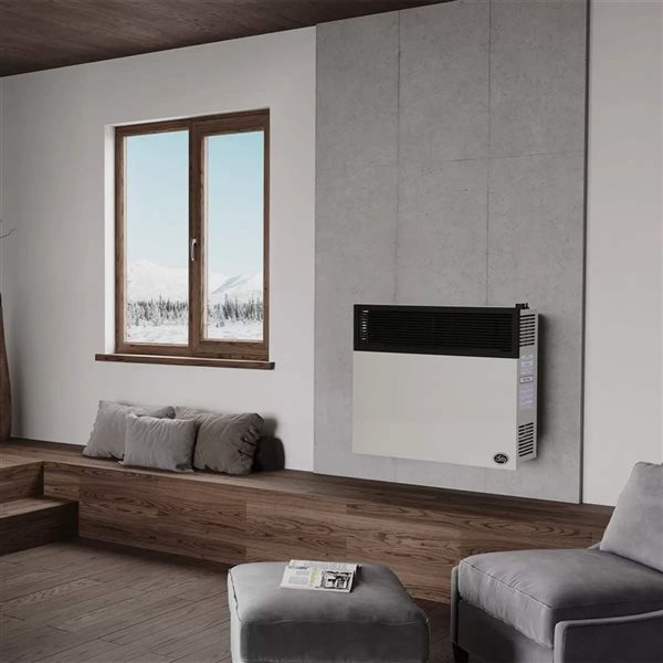 Ashley 25,000 BTU Direct Vent Propane Indoor Radiant Wall Heater - Off-White