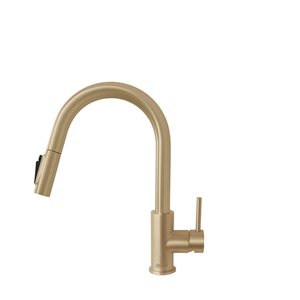 Robinet de cuisine à levier unique et à bec rétractable Modena par Stylish 14 po h. doré brossé