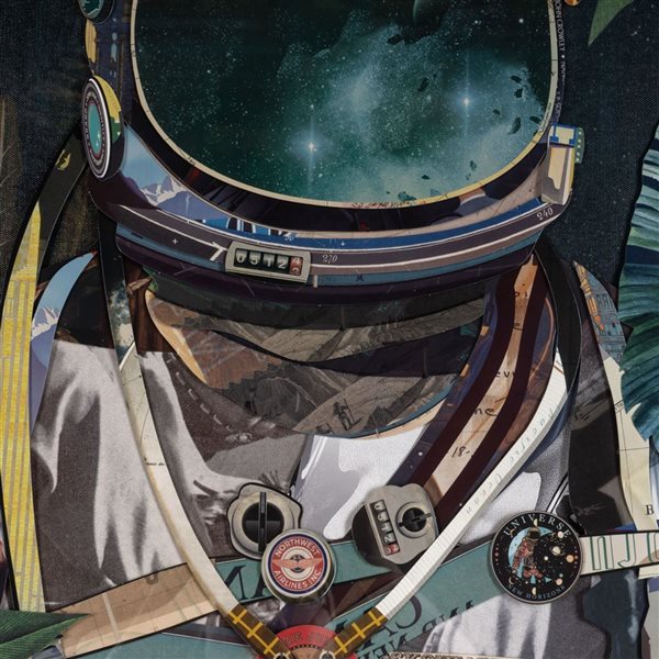 Gild Design House Jungle Cosmonaut 28 x 36-in Astronaut Collage Artwork Under Glass with Black Frame