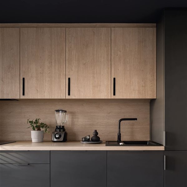 Nuvo Iron 12-in L Black Modern Gate Handle